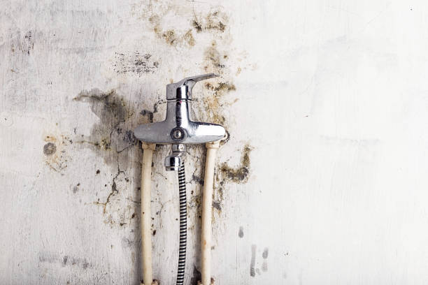Professional Mold Removal in Keyport, NJ