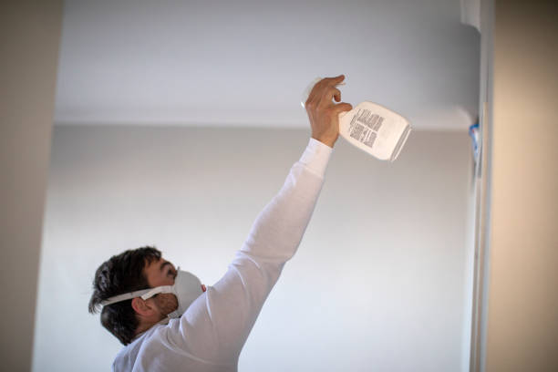 Best Office Mold Removal Services  in Keyport, NJ
