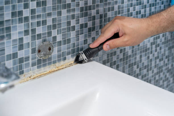 Best Mold Removal Process  in Keyport, NJ